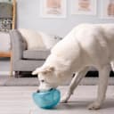 Snoop Interactive Treat Dispensing Dog Toy — Blue