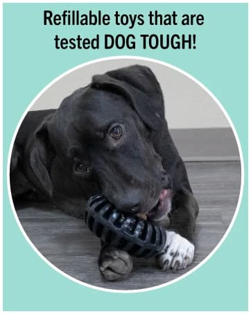 Treat-Dispensing Bob-A-Lot Large Dog Interactive Feeder Toy — collection imagery