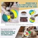 Dog Puzzle Toy Adjustable Treat Dispensing Ball Food Dispenser Tough Slow Feeder Puppy Enrichment Training Toy