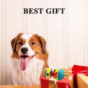 Dog Puzzle Toy Adjustable Treat Dispensing Ball Food Dispenser Tough Slow Feeder Puppy Enrichment Training Toy — collection imagery