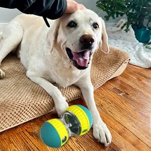 Dog Puzzle Toy Adjustable Treat Dispensing Ball Food Dispenser Tough Slow Feeder Puppy Enrichment Training Toy — collection imagery