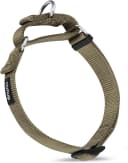 Martingale Collar for Dogs — Large Green