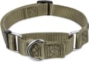 Martingale Collar for Dogs — Large Green