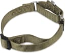 Martingale Collar for Dogs — Large Green