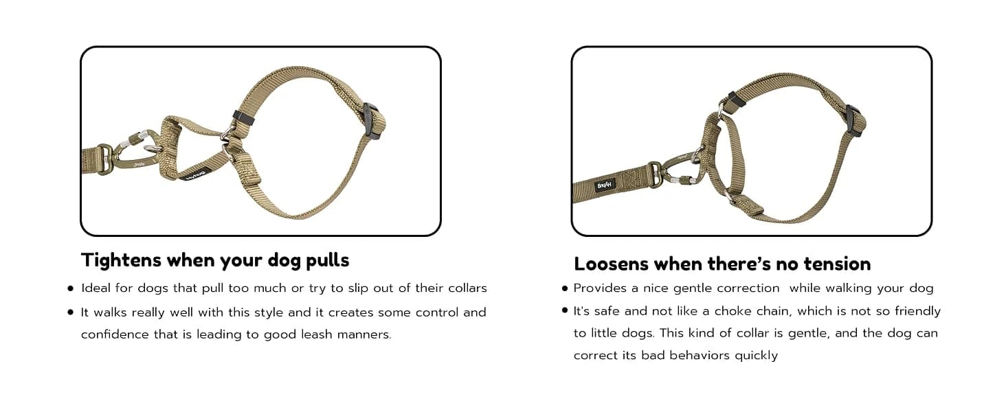 Martingale Collar for Dogs — Large Green — Escape-Proof Martingale Collar: Where Safety Meets Gentle Care