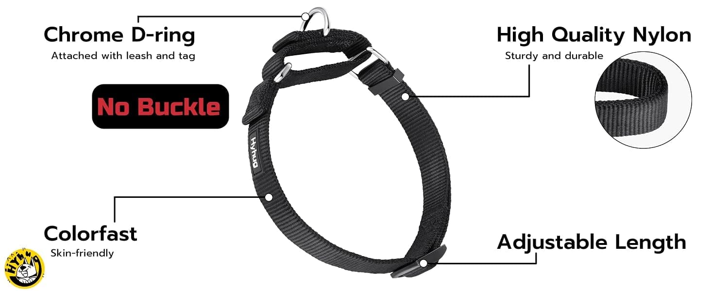 Martingale Collar for Dogs — Large Green — Escape-Proof Martingale Collar: Where Safety Meets Gentle Care