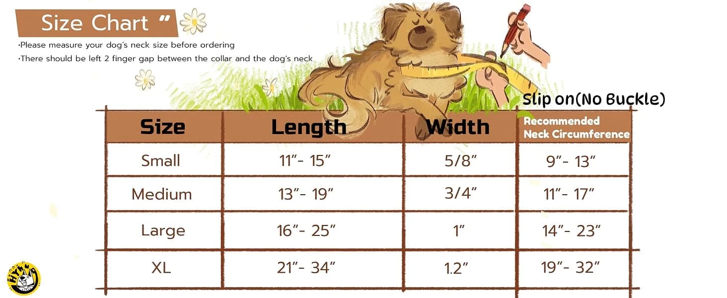Martingale Collar for Dogs — Large Green — Please measure your dog's neck size before ordering