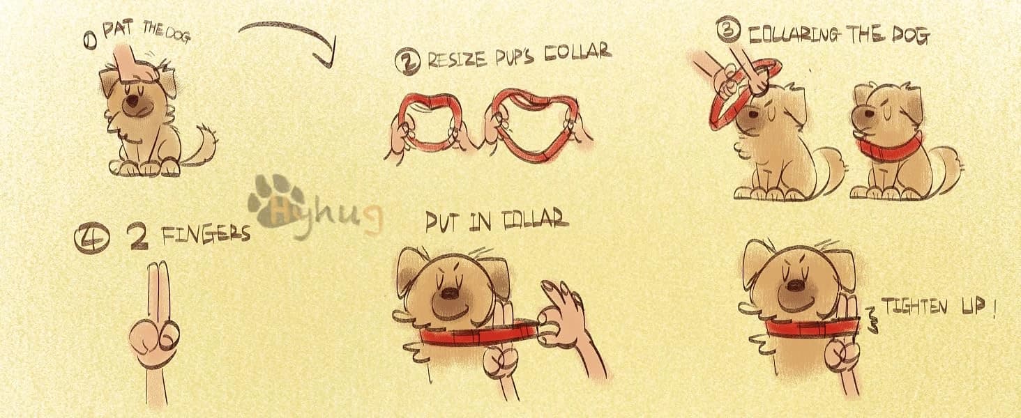 Martingale Collar for Dogs — Large Green — Please measure your dog's neck size before ordering