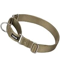 Martingale Collar for Dogs — Large Green — collection imagery