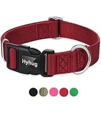 Martingale Collar for Dogs — Large Green — collection imagery