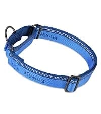 Martingale Collar for Dogs — Large Green — collection imagery