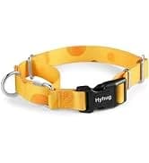 Martingale Collar for Dogs — Large Green — collection imagery