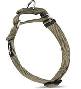 Martingale Collar for Dogs — Large Green — collection imagery