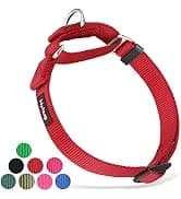 Martingale Collar for Dogs — Large Green — collection imagery