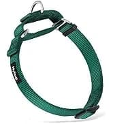 Martingale Collar for Dogs — Large Green — collection imagery