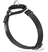 Martingale Collar for Dogs — Large Green — collection imagery
