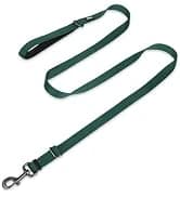 Martingale Collar for Dogs — Large Green — collection imagery