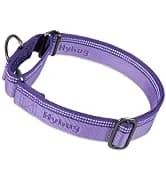 Martingale Collar for Dogs — Large Green — collection imagery