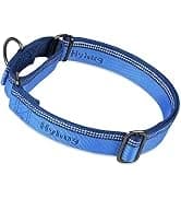 Martingale Collar for Dogs — Large Green — collection imagery