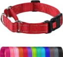 Martingale Collar for Dogs — Escape Proof No Pull