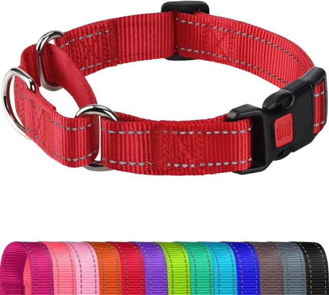 Martingale Collar for Dogs — Escape Proof No Pull