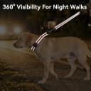 Martingale Collar for Dogs — Escape Proof No Pull
