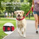 Martingale Collar for Dogs — Escape Proof No Pull
