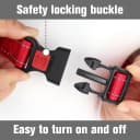 Martingale Collar for Dogs — Escape Proof No Pull