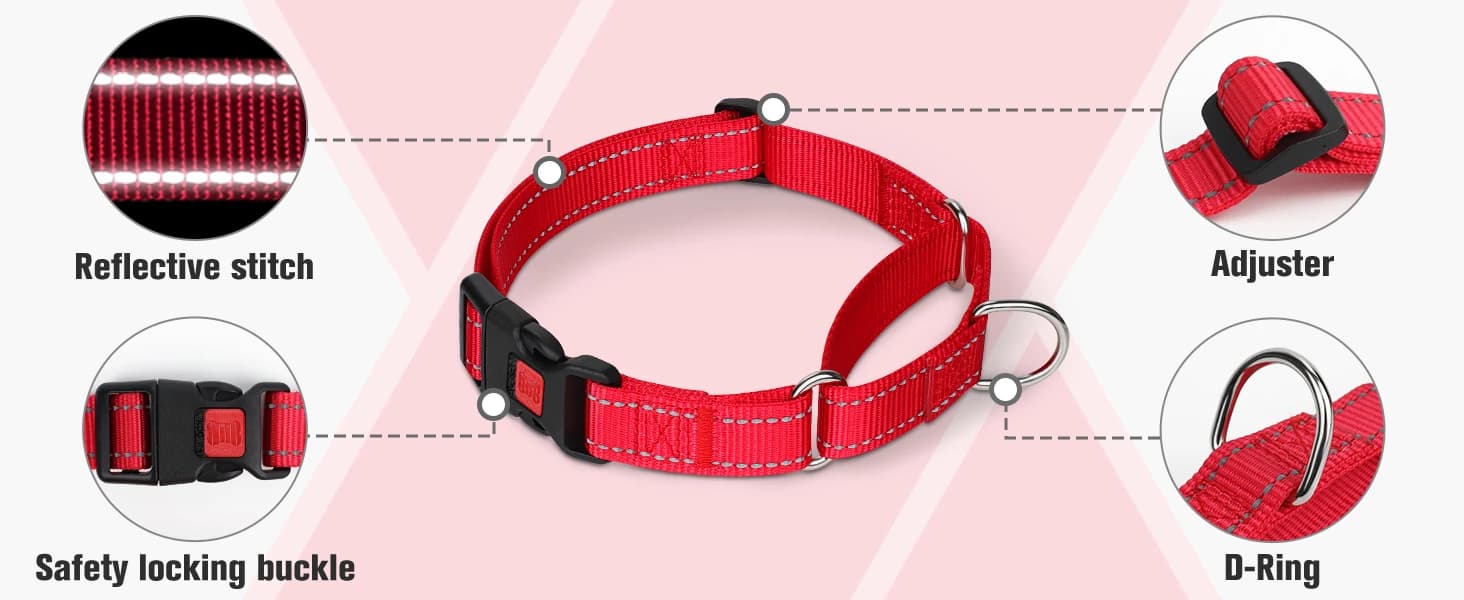 Martingale Collar for Dogs — Escape Proof No Pull — product details