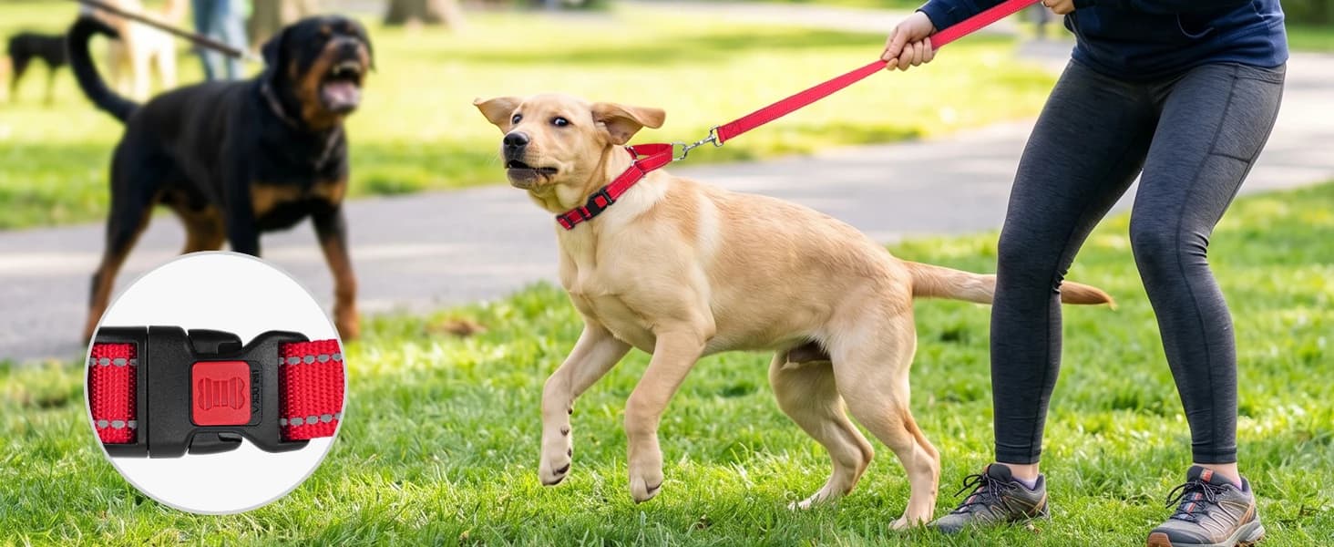 Martingale Collar for Dogs — Escape Proof No Pull — Never Worry About "The Slip" Again