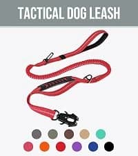 Martingale Collar for Dogs — Escape Proof No Pull — collection imagery