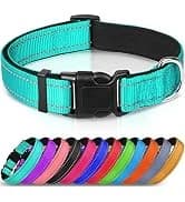 Martingale Collar for Dogs — Escape Proof No Pull — collection imagery
