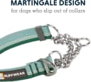 Chain Reaction Martingale Dog Collar