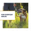Chain Reaction Martingale Dog Collar