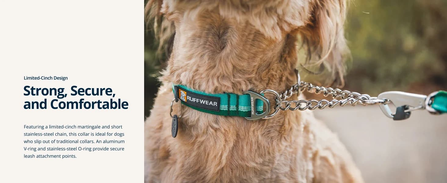Chain Reaction Martingale Dog Collar — product details