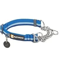 Chain Reaction Martingale Dog Collar — collection imagery