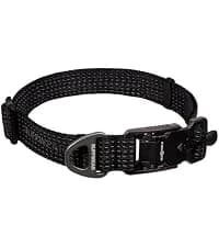 Chain Reaction Martingale Dog Collar — collection imagery