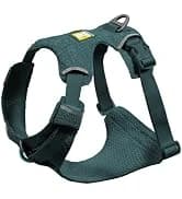 Double Track Coupler — Double Leash for Two Dogs — collection imagery