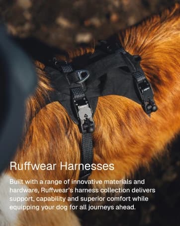 Double Track Coupler — Double Leash for Two Dogs — collection imagery