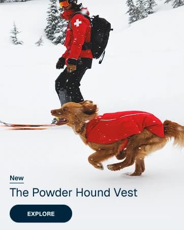 Double Track Coupler — Double Leash for Two Dogs — collection imagery