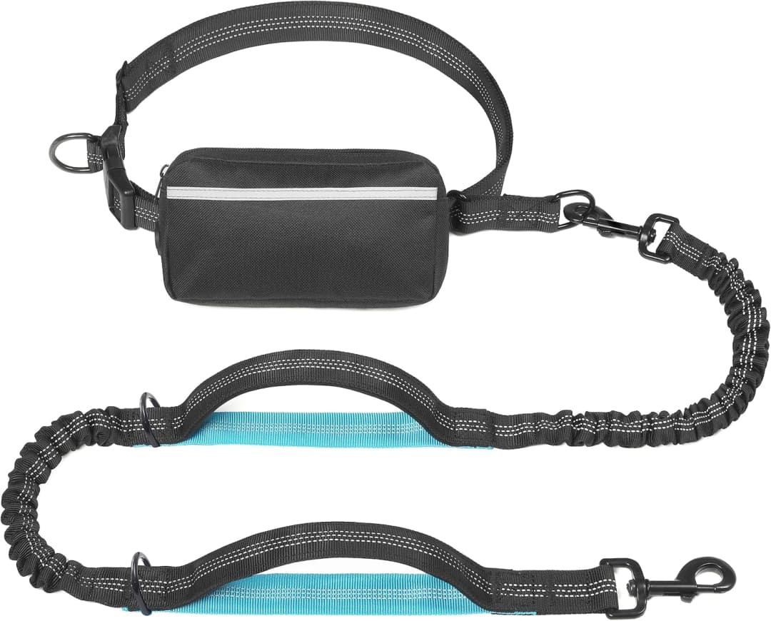 Hands Free Dog Leash with Zipper Pouch