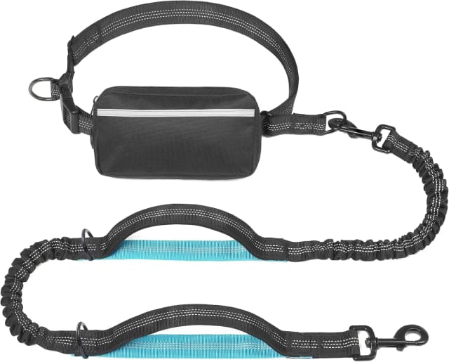 Hands Free Dog Leash with Zipper Pouch