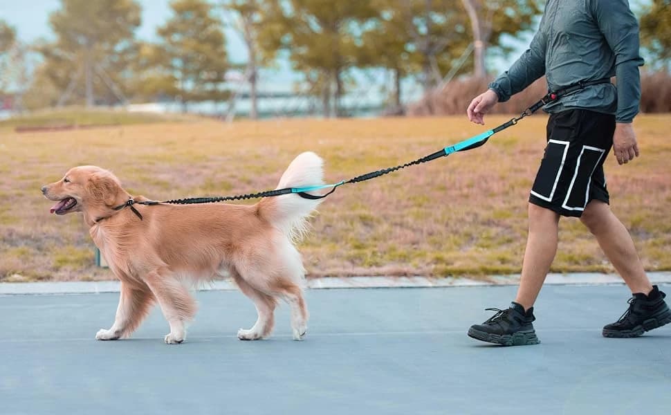 Hands Free Dog Leash with Zipper Pouch — product details