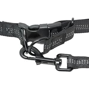 Hands Free Dog Leash with Zipper Pouch — collection imagery