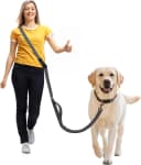 Hands Free Dog Leash — Galaxy Reflective