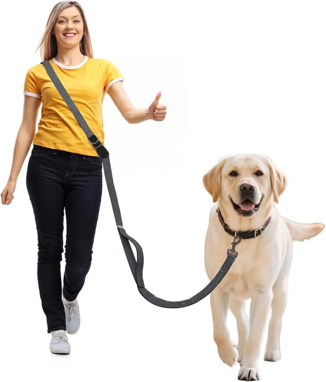 Hands Free Dog Leash — Galaxy Reflective