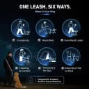 Hands Free Dog Leash — Galaxy Reflective