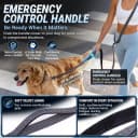 Hands Free Dog Leash — Galaxy Reflective