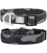 Hands Free Dog Leash — Galaxy Reflective — collection imagery