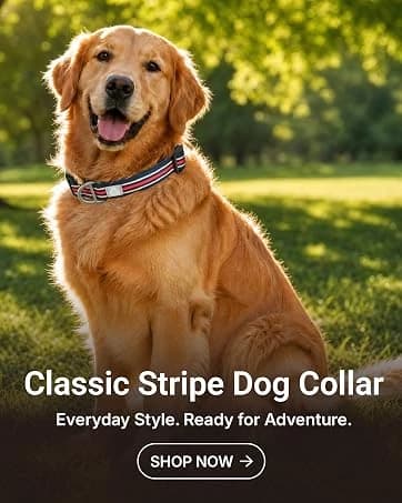Hands Free Dog Leash — Galaxy Reflective — collection imagery